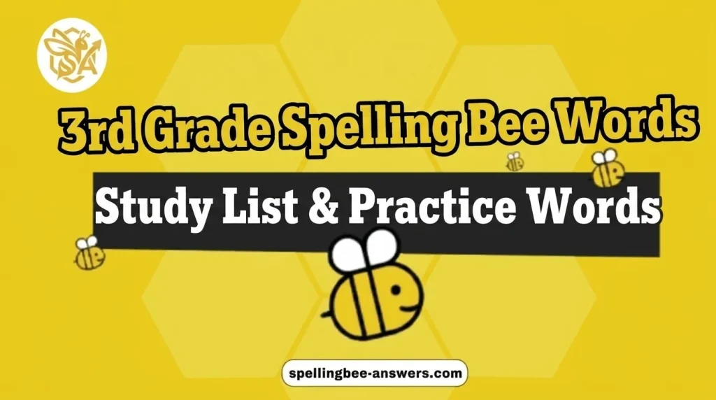 3rd Grade Spelling Bee Words